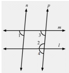RD Sharma Solutions (Part - 2) - Ex-14.2, Lines and Angles, Class 7, Math | RD Sharma Solutions for Class 7 Mathematics