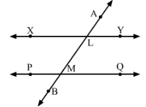RD Sharma Solutions (Part - 2) - Ex-14.2, Lines and Angles, Class 7, Math | RD Sharma Solutions for Class 7 Mathematics