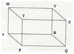 Ex-16.1, Understanding Three Dimensional Shapes, Class 6, Maths RD Sharma Solutions | RD Sharma Solutions for Class 6 Mathematics