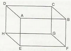Ex-16.1, Understanding Three Dimensional Shapes, Class 6, Maths RD Sharma Solutions | RD Sharma Solutions for Class 6 Mathematics