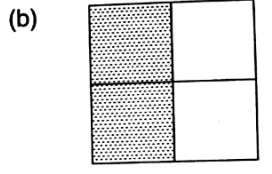 Ex-6.5, Fractions, Class 6, Maths RD Sharma Solutions | RD Sharma Solutions for Class 6 Mathematics
