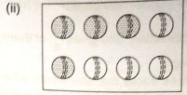 Ex-6.1, Fractions, Class 6, Maths RD Sharma Solutions | RD Sharma Solutions for Class 6 Mathematics