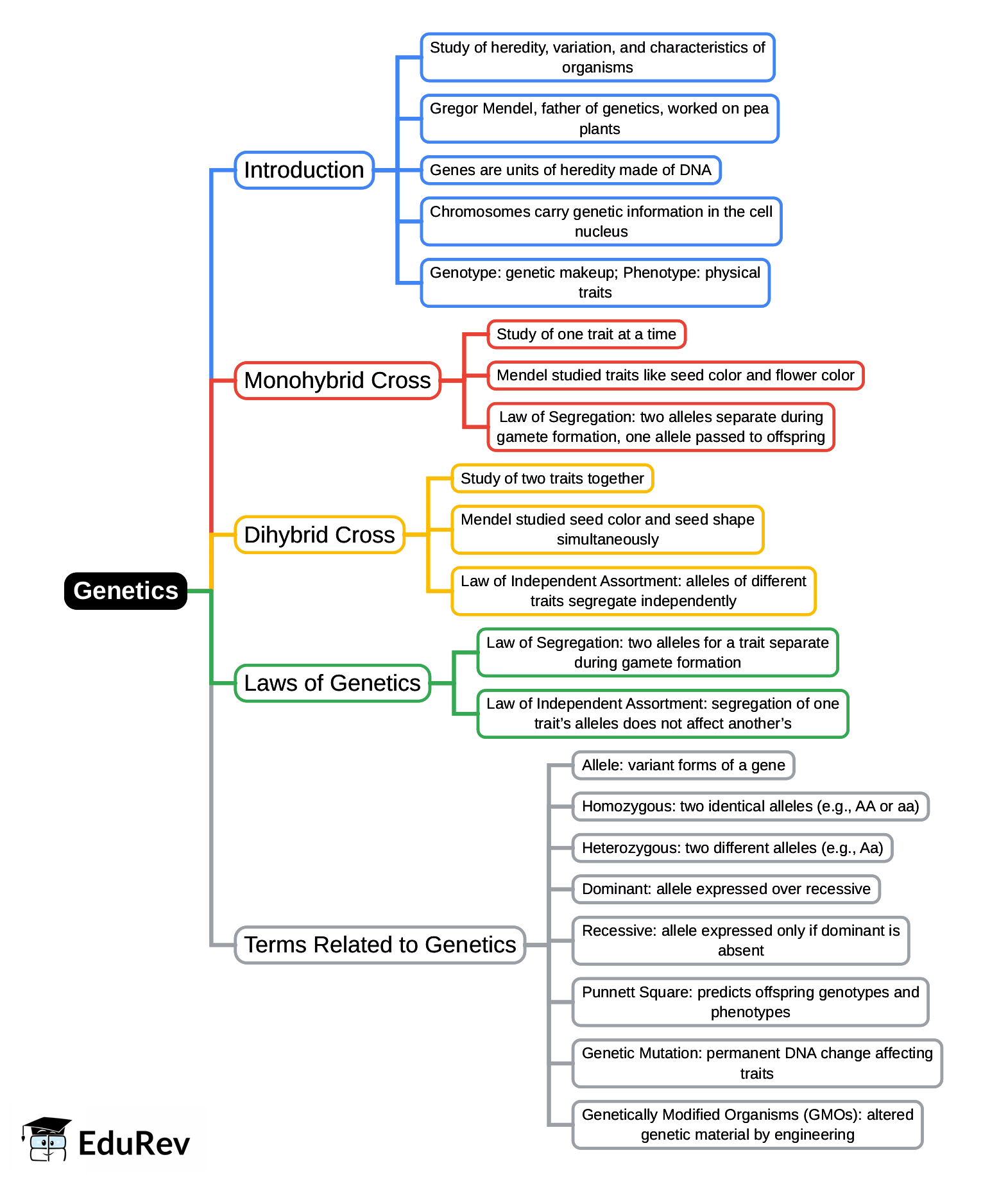 Mind Map: Genetics