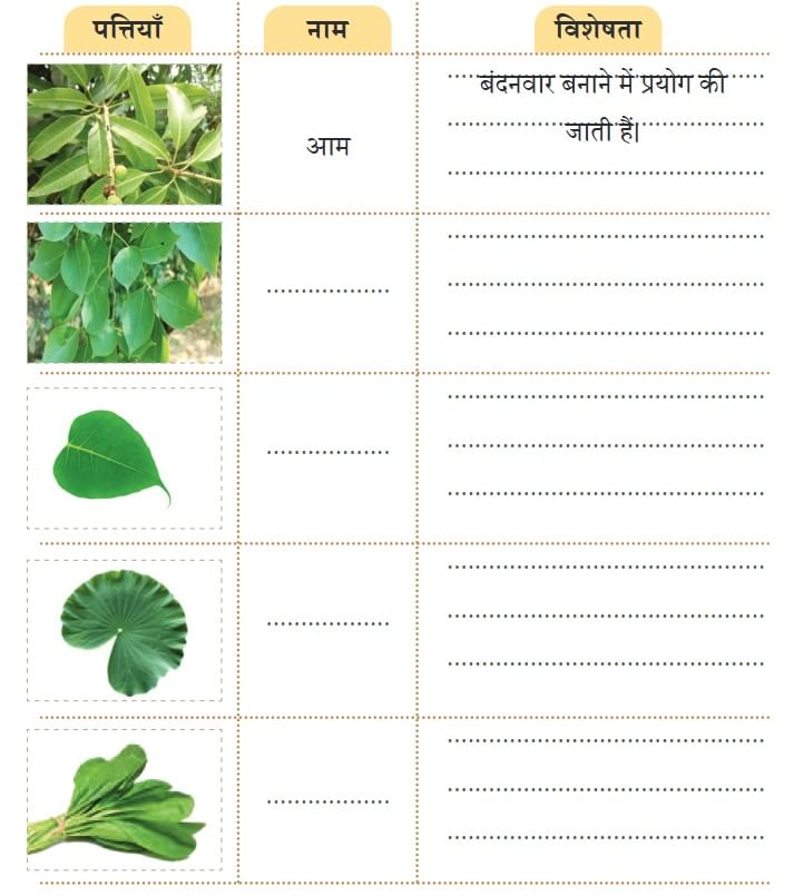 NCERT Solutions for Class 4 Hindi Chapter 3 - नीम