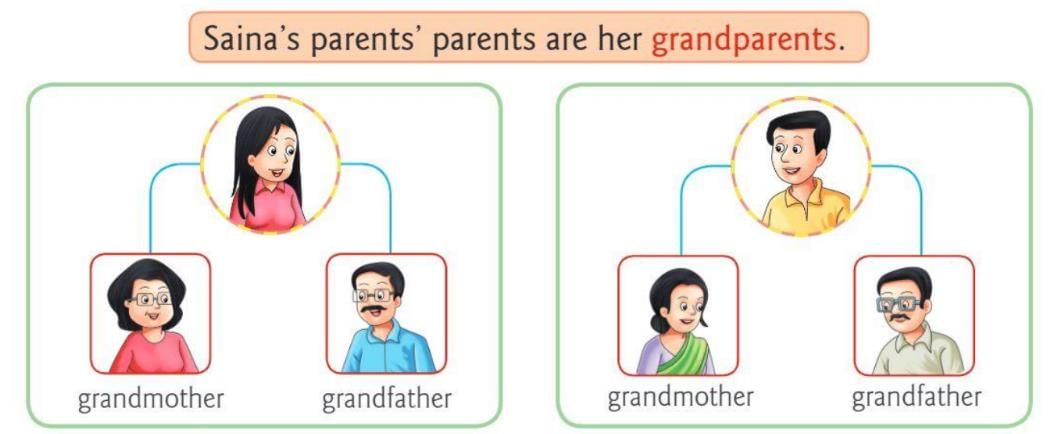 My Family Chapter Notes | Environmental Studies Class 2 ICSE
