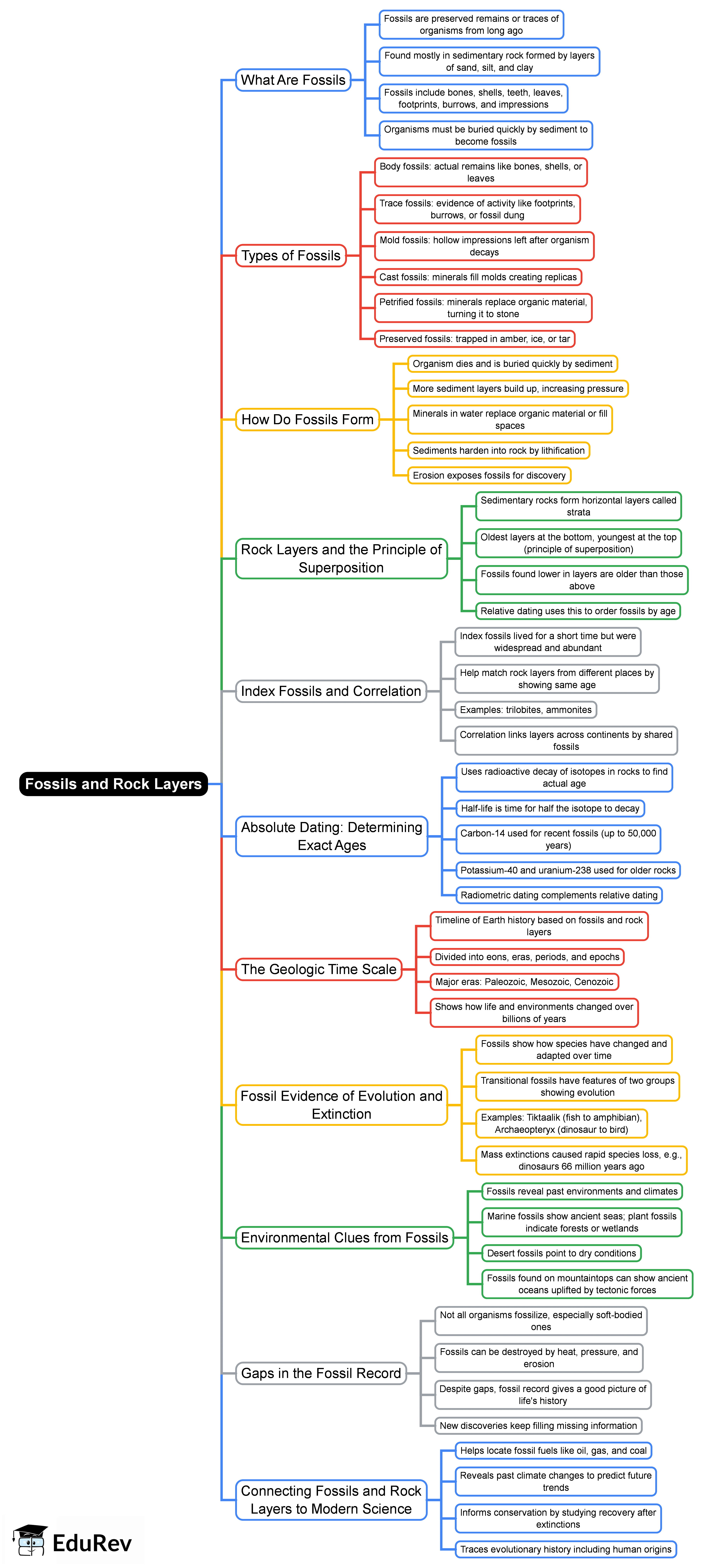 Mind Map: Fossils and Rock Layers