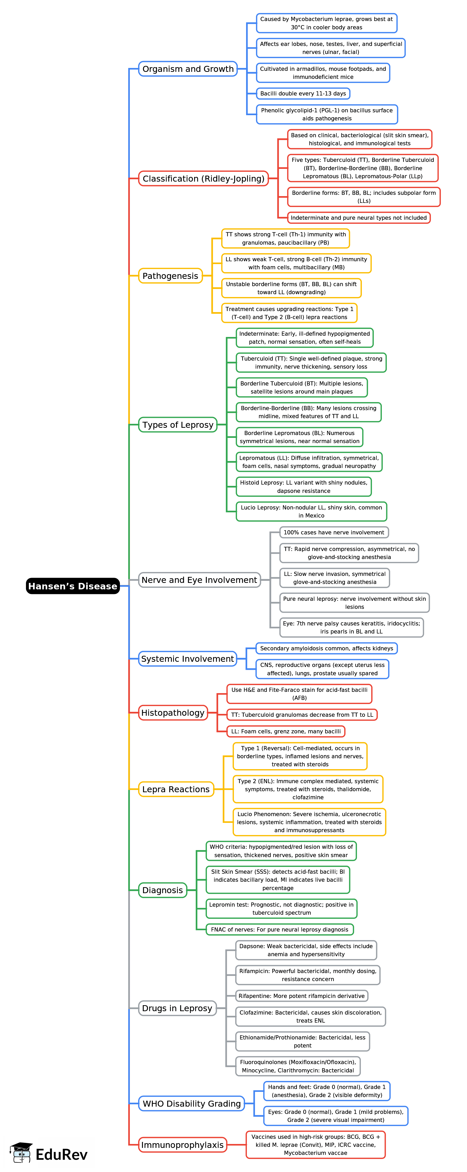 Mind Map: Hansen’s Disease