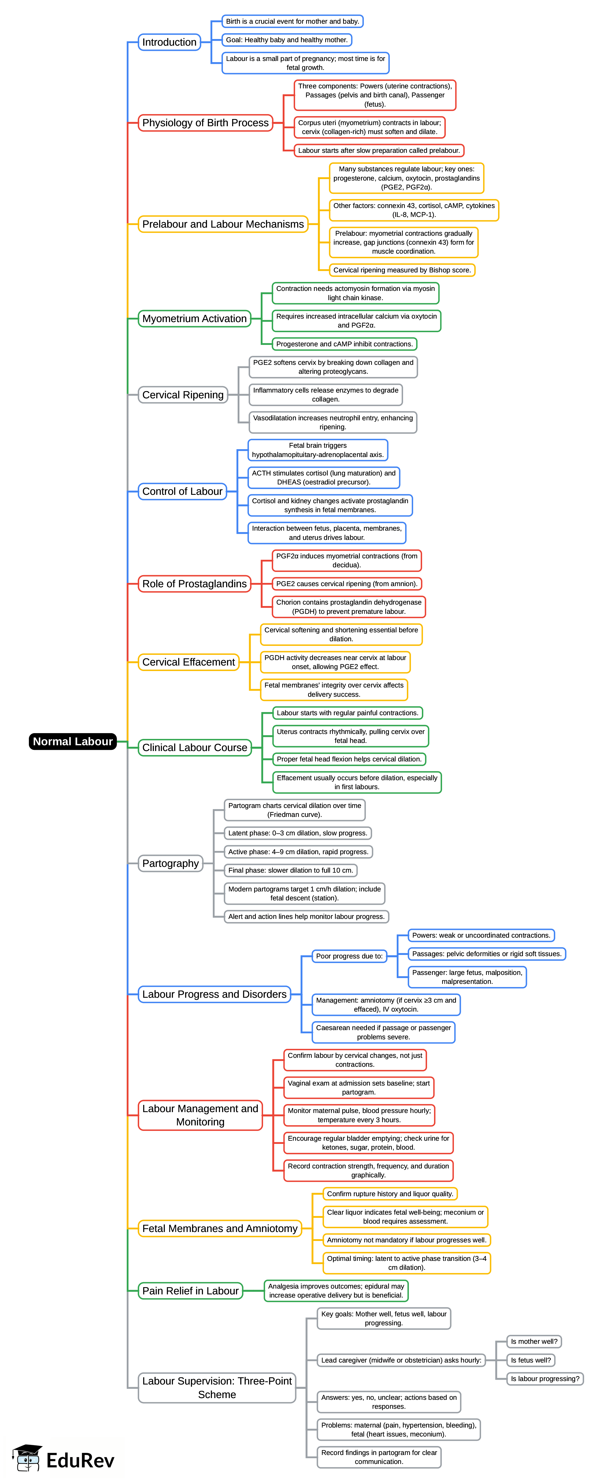 Mind Map: Normal labour