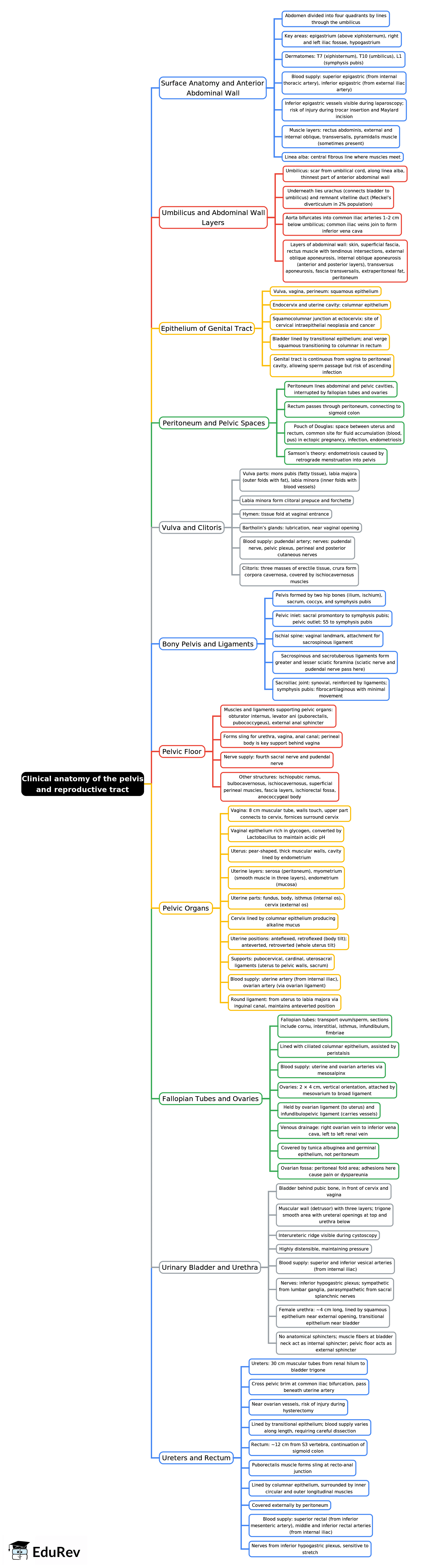 Mind Map: Clinical anatomy of the pelvis and reproductive tract