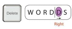 Keyboard: Special Key Chapter Notes | Computer Studies Class 2 ICSE