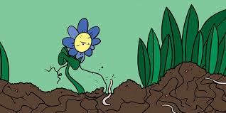 Pollination and seed spreading | Year 3 Science