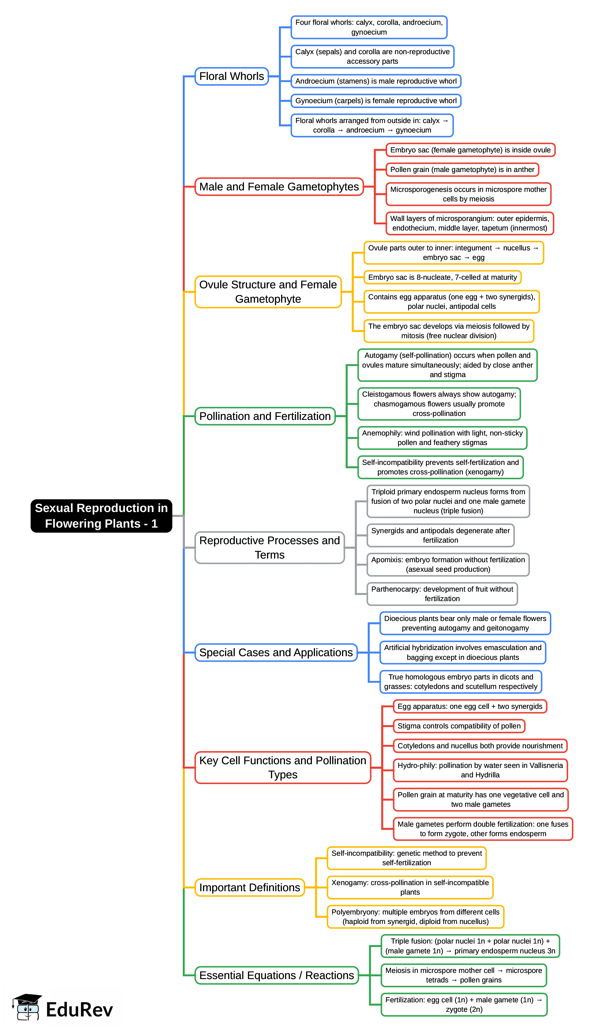 Mind Map: Sexual Reproduction in Flowering Plants - 1