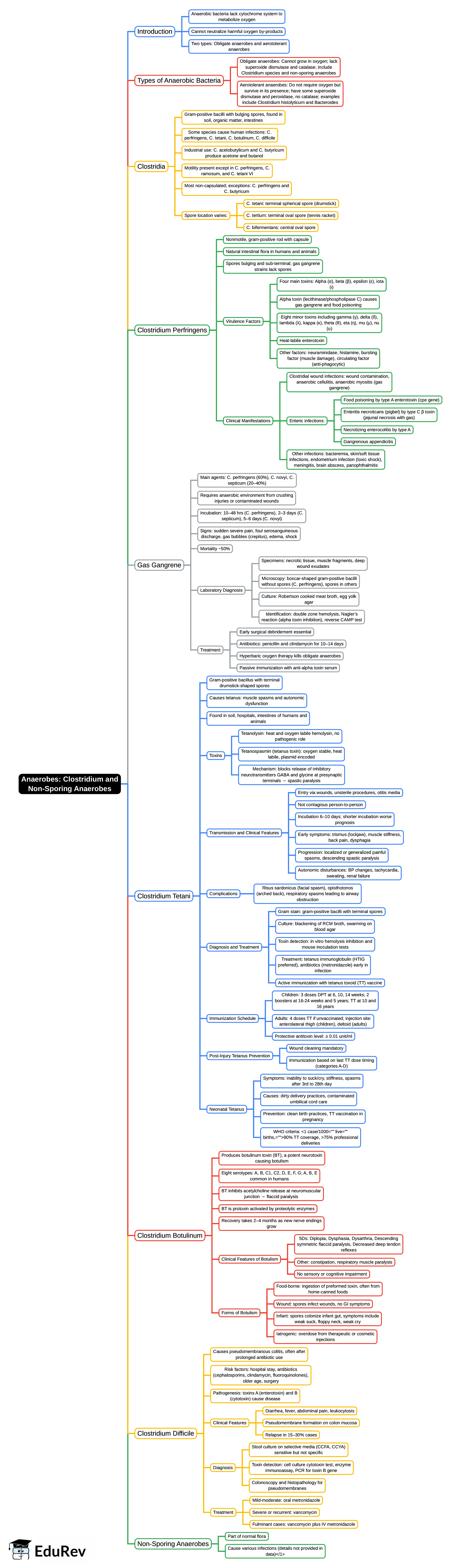 Mind Map: Anaerobes: Clostridium and Non-Sporing Anaerobes | Microbiology - NEET PG