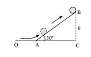 System Of particles And Rotational Motion, NCERT Solutions, Class 11, Physics
