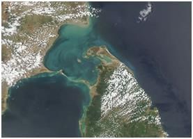 India Location Class 11 Geography