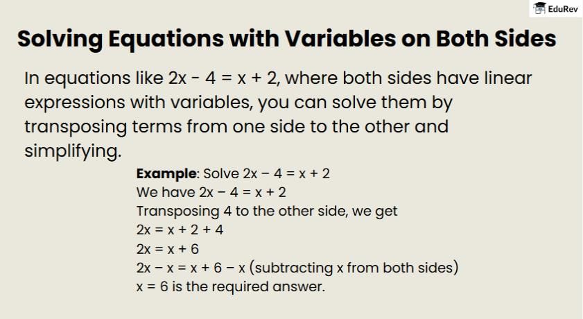 What do you get under EduRev Infinity for Class 8?