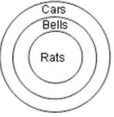 Syllogism Questions for CAT with Answers PDF