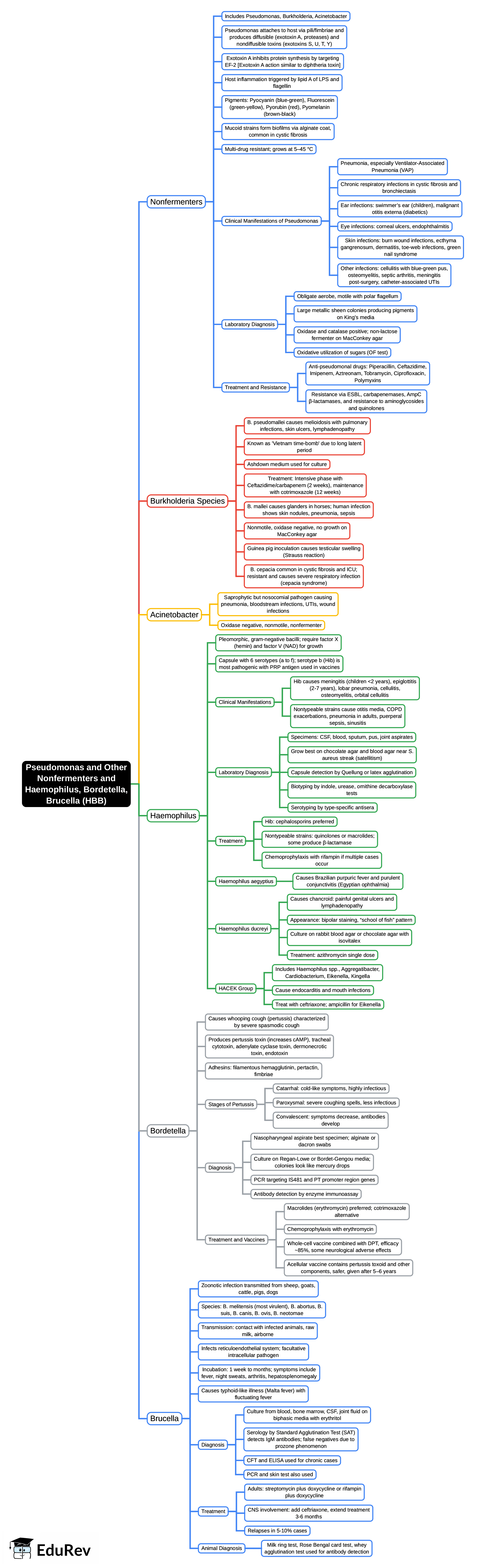 Mind Map: Pseudomonas and Other Nonfermenters and Haemophilus, Bordetella, Brucella (HBB) | Microbiology - NEET PG
