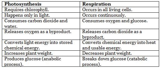 Respiration in Plants Chapter Notes | Biology Class 9 ICSE