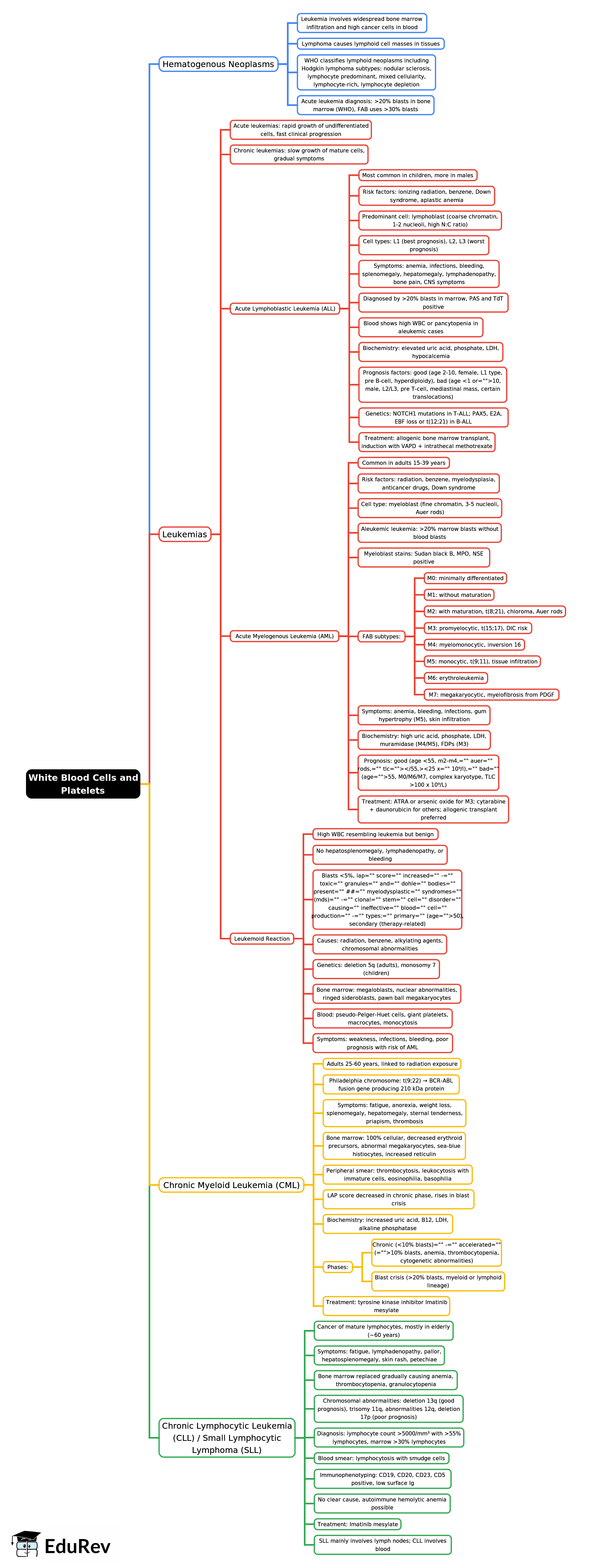 Mind Map: White Blood Cells and Platelets -1