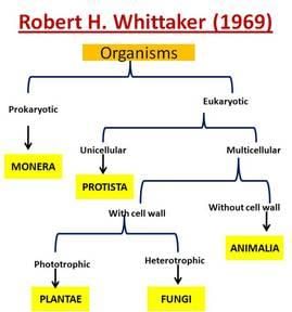 Revision Notes: Five Kingdom Classification | Biology Class 9 ICSE