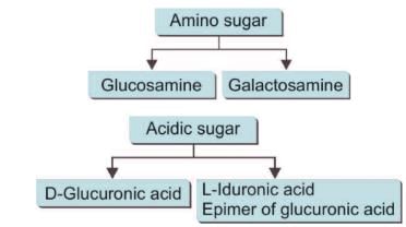 Chemistry of Carbohydrates Chapter Notes | Biochemistry - NEET PG