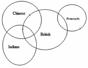 Syllogism Questions for CAT with Answers PDF