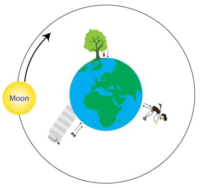 Very Short Answers - Force and Pressure | Science Class 8