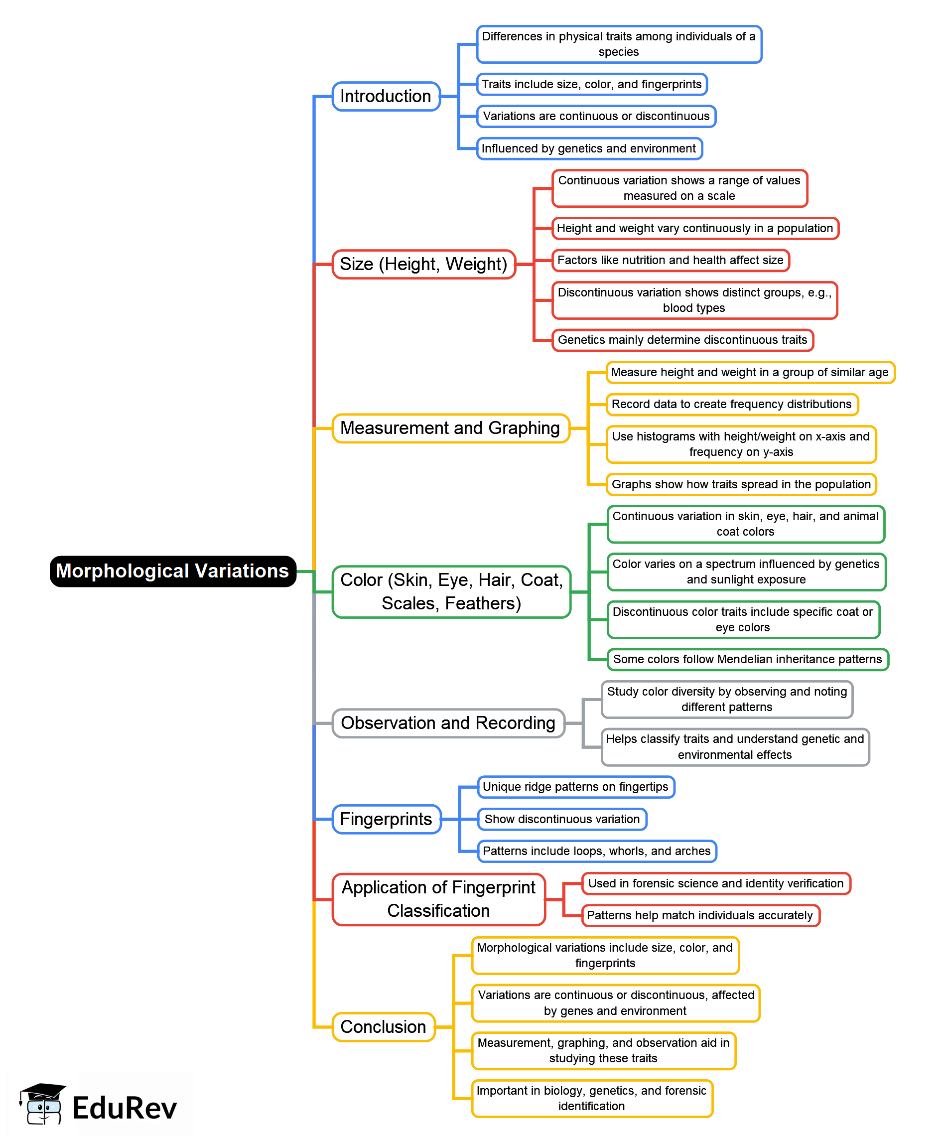 Morphological Variations Mind Map - JAMB PDF Download