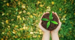 Q5: Short Answer Questions.