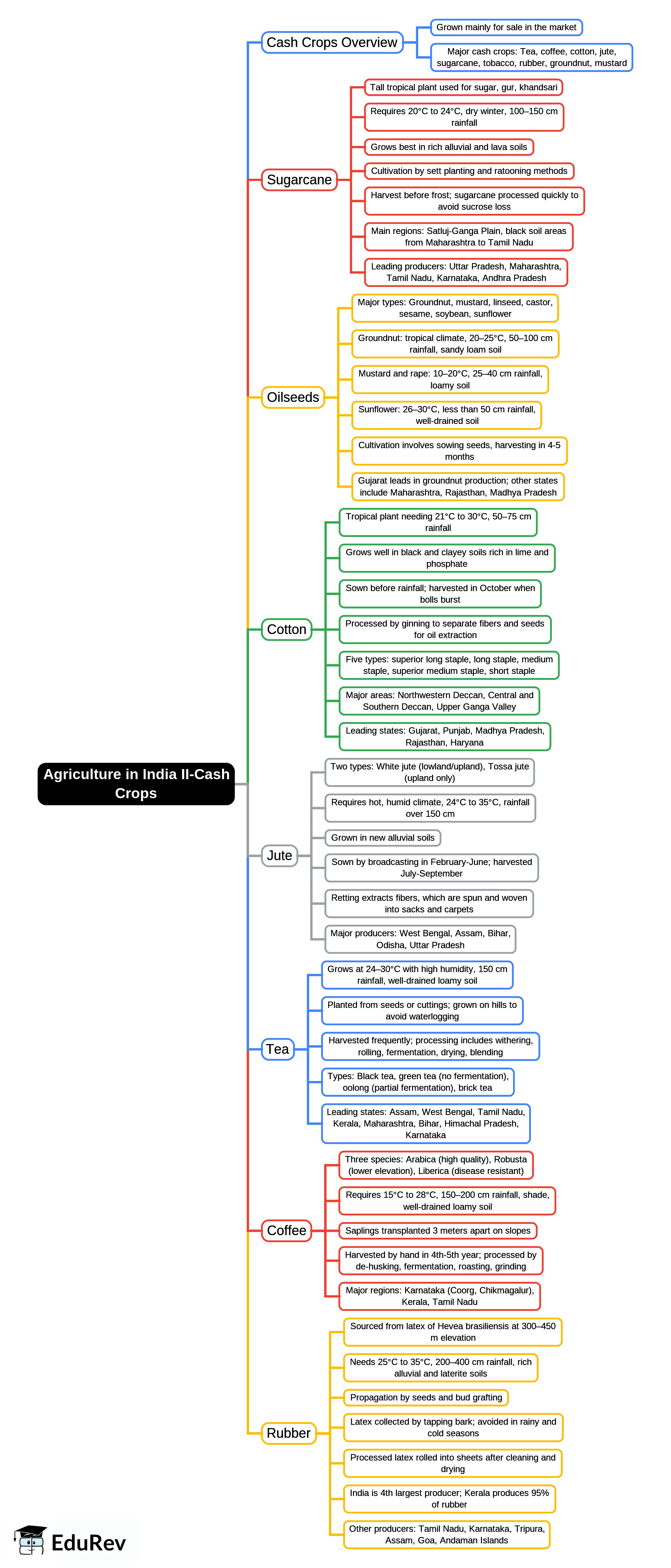 Mind Map: Agriculture in India II-Cash crops | Footprints Class 7: Book Solutions, Notes & Worksheets