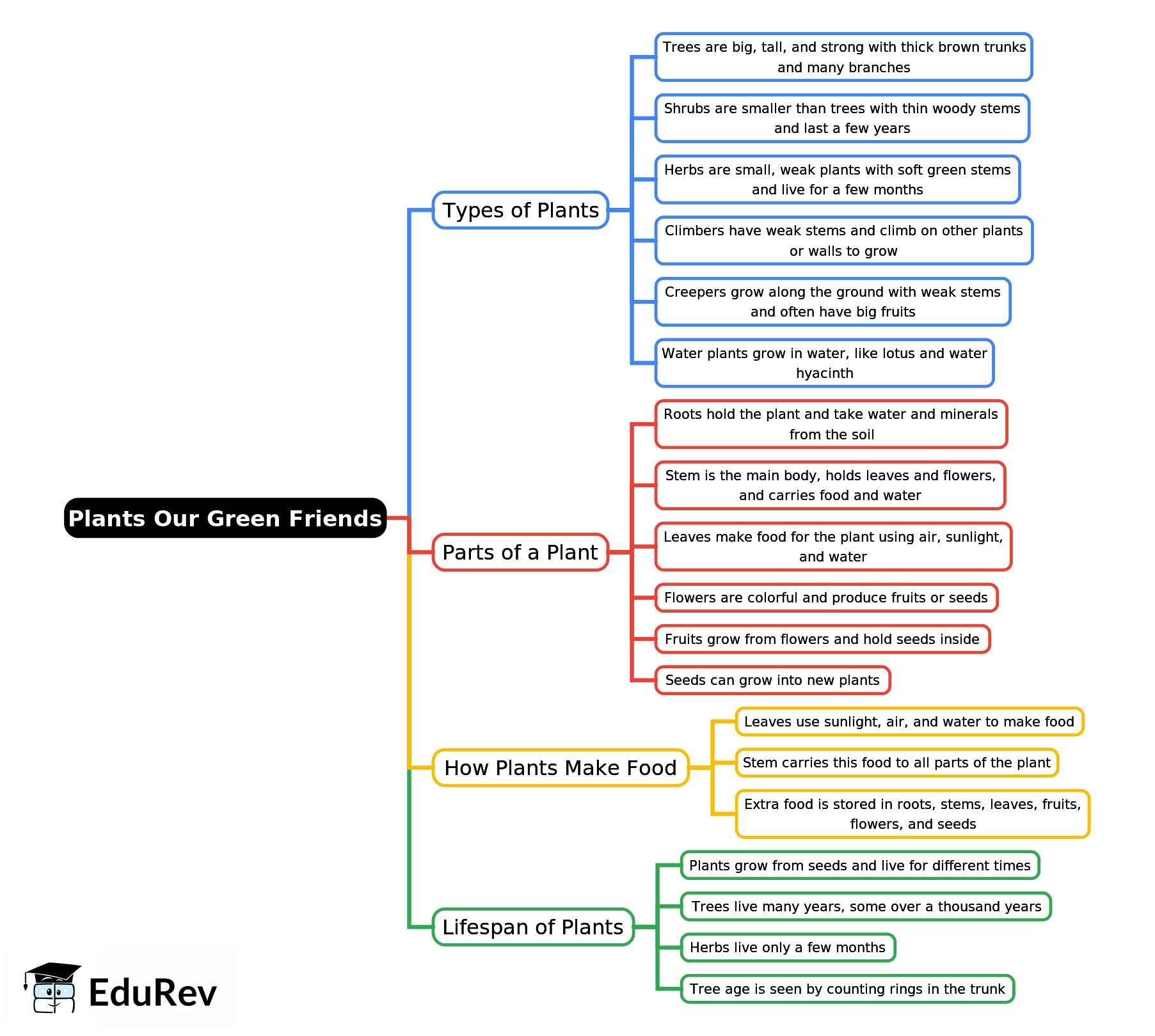 Mind Map: Plants-Our Green Friends | Science Class 2 ICSE