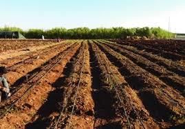 Goa: Soils | Goa State PSC (GPSC) Preparation - GPSC (Goa)