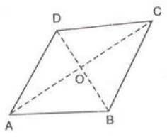 Chapter notes: Special Types of Quadrilaterals | Mathematics Class 8 ICSE