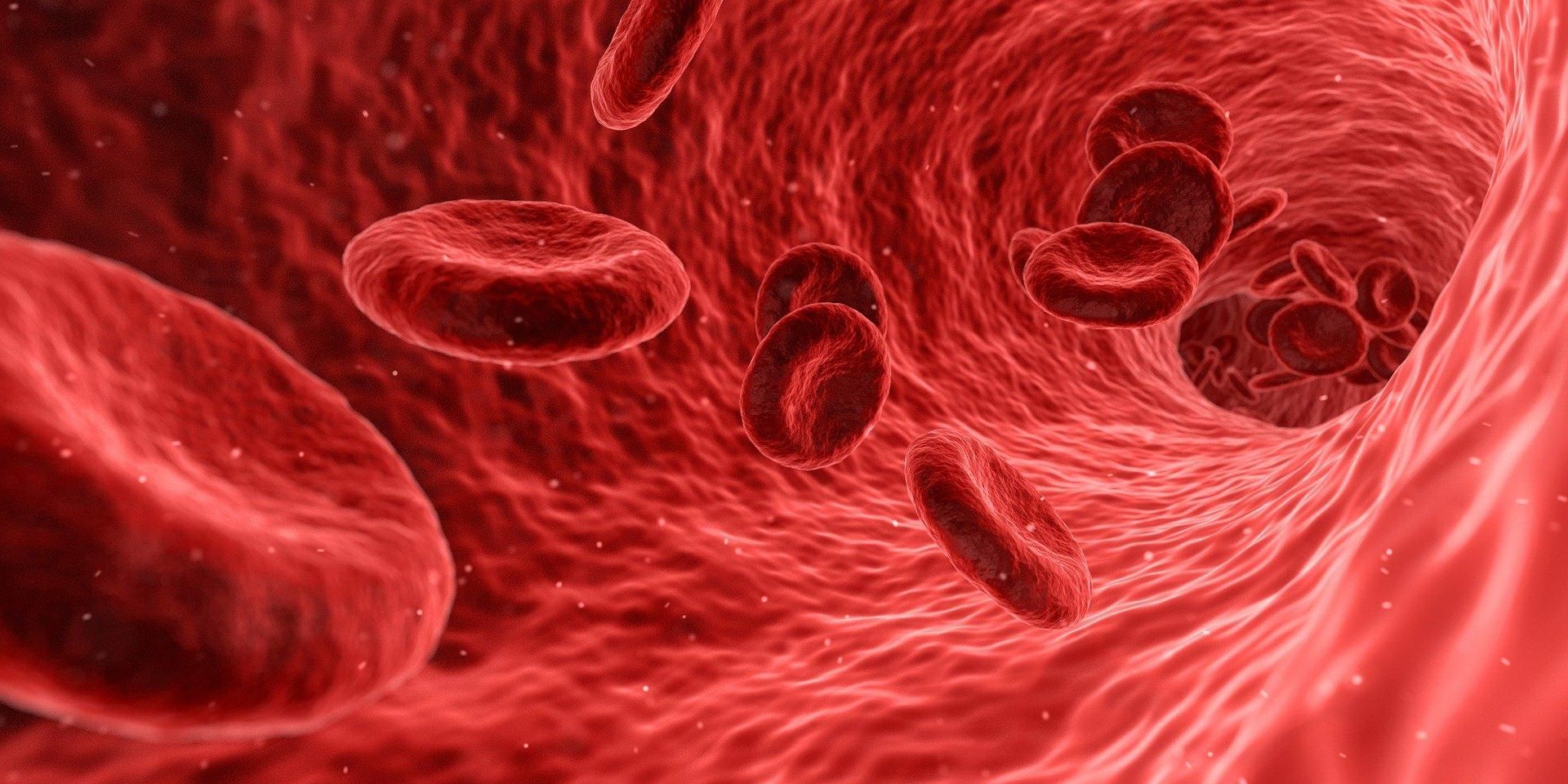 Blood - Notes, Biology | General Awareness - Bank Exams