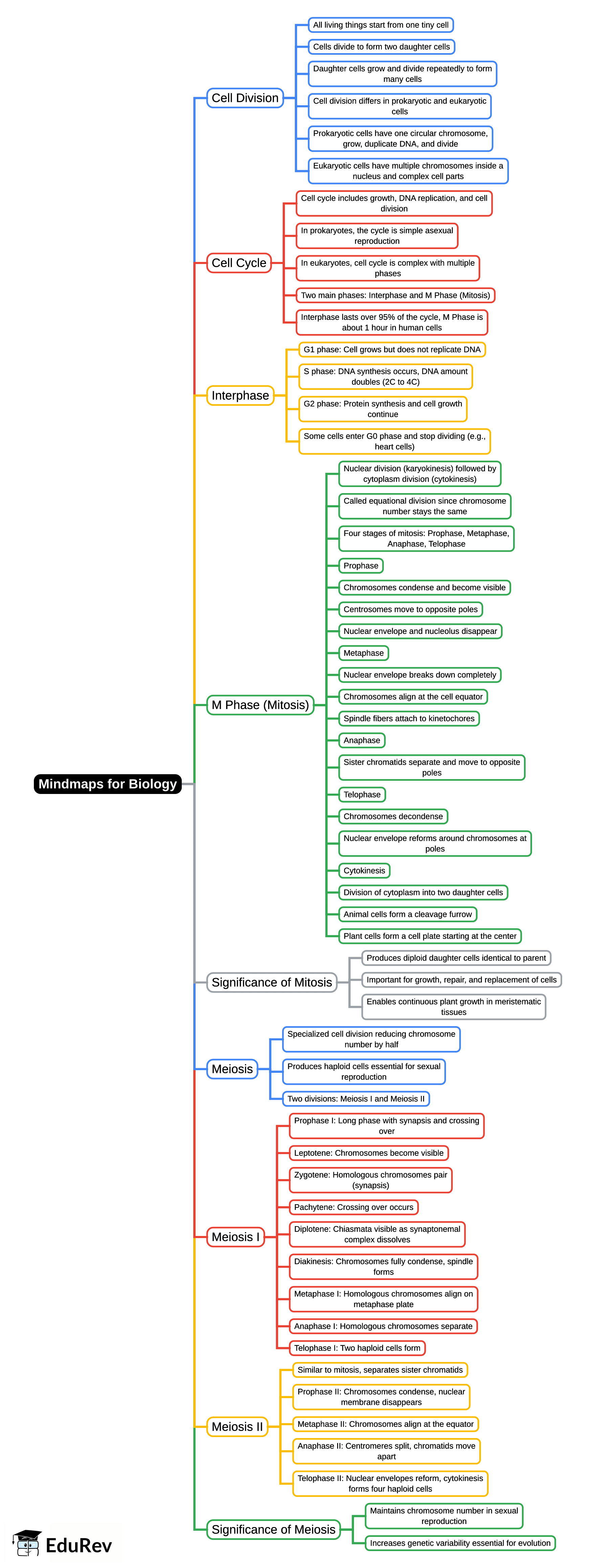 Mind Map:  Mindmaps for Biology