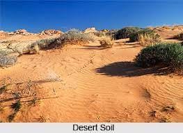 Q2: Multiple Choice Questions (MCQs).