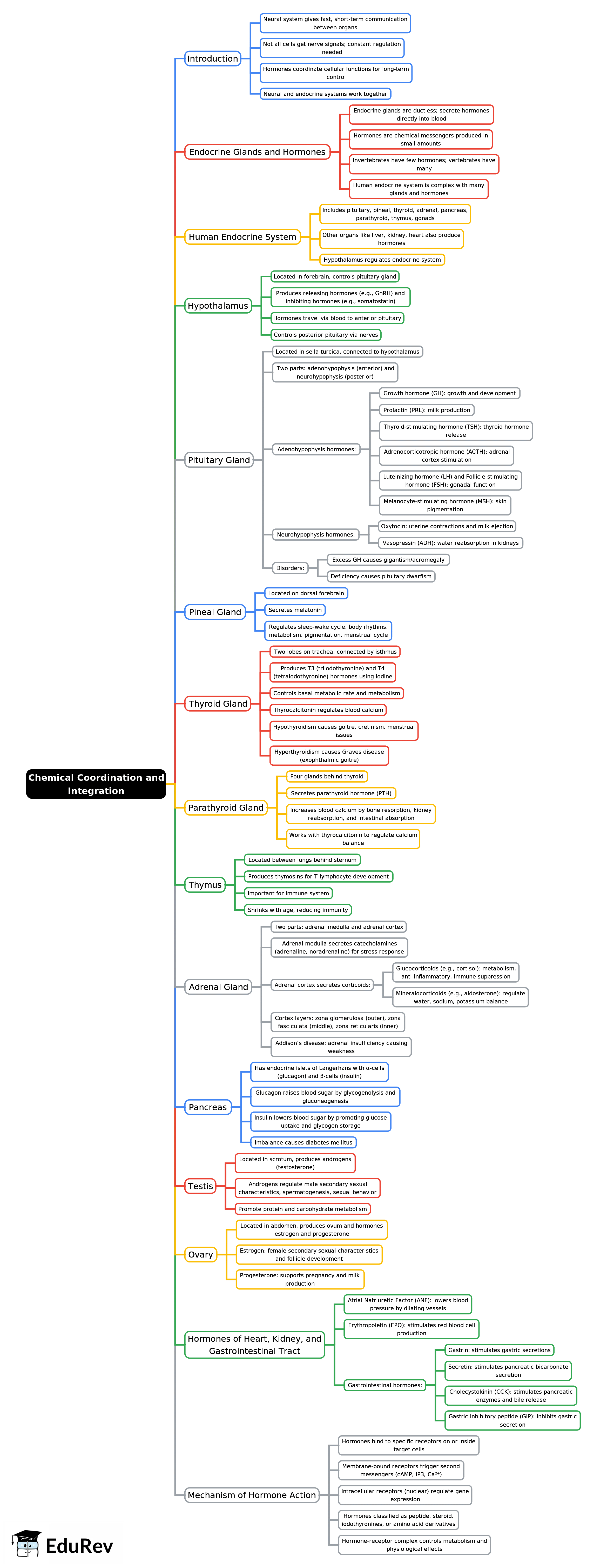 Mind Map: Chemical Coordination and Integration | Biology Class 11 - NEET