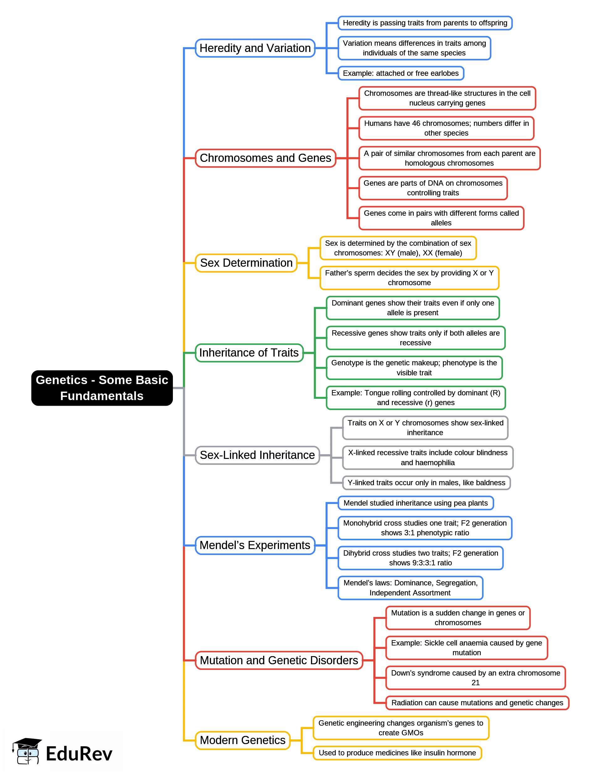Mind Map: Genetics - Some Basic Fundamentals | Preparation for EmSAT Grade 10