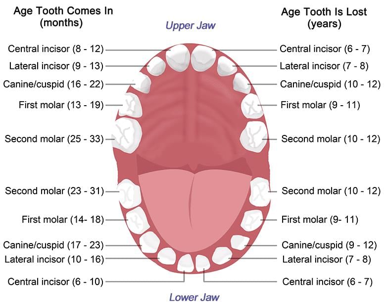 Revision Notes: Hygiene | Home Management for SSS 3