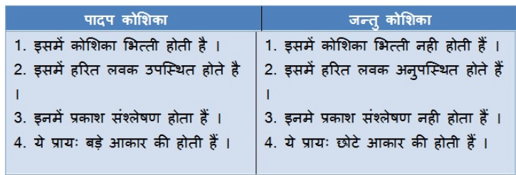 NCERT Solutions पाठ - 5 जीवन की मौलिक इकाई, कक्षा 9, विज्ञान | विज्ञान (कक्षा 9) - नोट्स, वीडियोस तथा सैंपल पेपर्स - Class 9