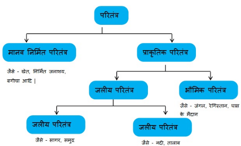 नोट्स, पाठ - 15 हमारा पर्यावरण (कक्षा दसंवी) - Class 10