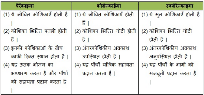 NCERT Solutions पाठ - 6 ऊतक, कक्षा 9, विज्ञान | विज्ञान (कक्षा 9) - नोट्स, वीडियोस तथा सैंपल पेपर्स - Class 9