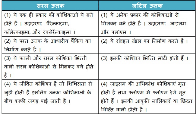 NCERT Solutions पाठ - 6 ऊतक, कक्षा 9, विज्ञान | विज्ञान (कक्षा 9) - नोट्स, वीडियोस तथा सैंपल पेपर्स - Class 9