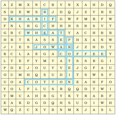NCERT Solutions पाठ 4 - कृषि, कक्षा 10, सामाजिक विज्ञान - Class 10