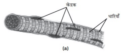 NCERT Solutions पाठ - 6 ऊतक, कक्षा 9, विज्ञान | विज्ञान (कक्षा 9) - नोट्स, वीडियोस तथा सैंपल पेपर्स - Class 9