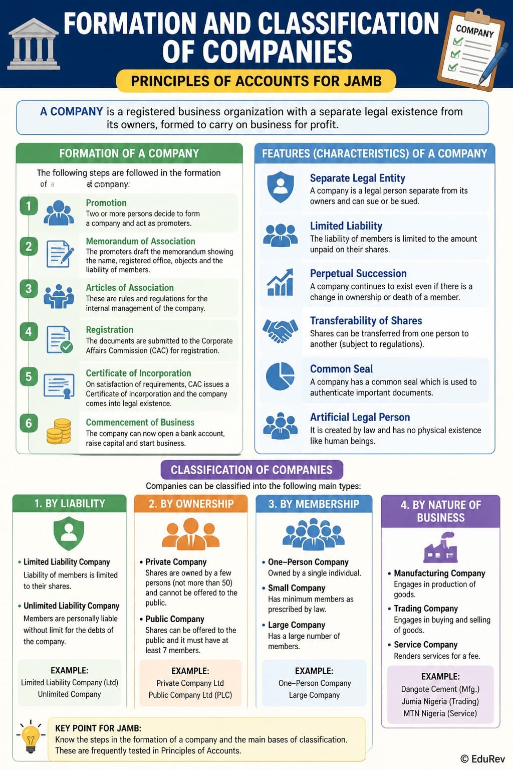 Infographic Formation and Classification of Companies - Principles of ...