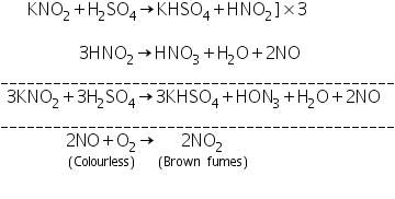 Theory & Procedure, Qualitative Analysis of Anions | Additional Study Material for NEET