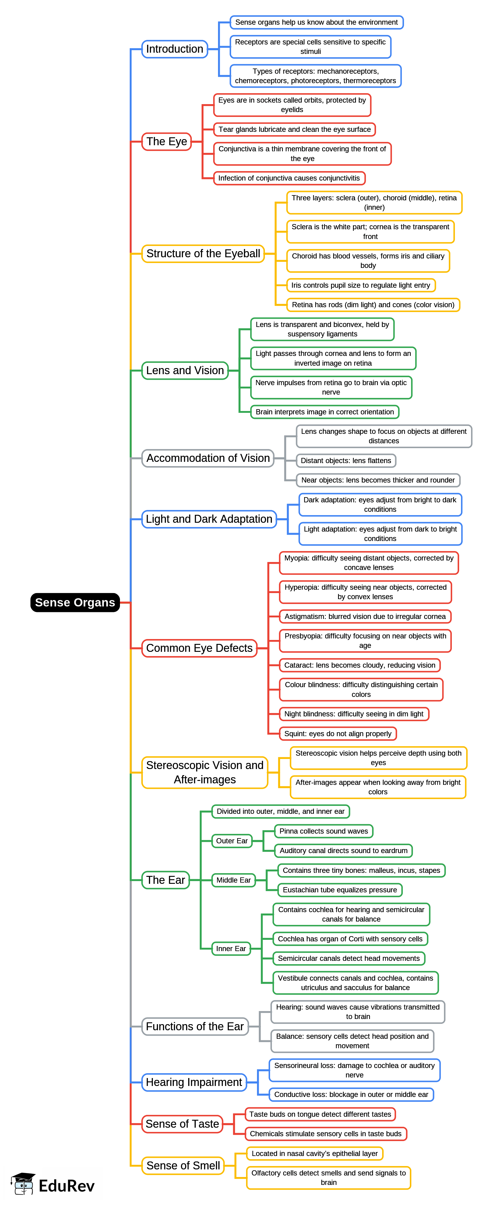 Mind Map: Sense Organs | Biology for SSS 3