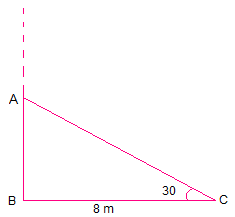 NCERT Solutions - Chapter 9: Some Application of Trigonometry, Class 10, Maths